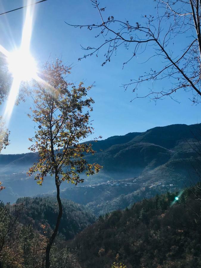 הוילה Parada  "Casa Do Avo Patricio" Mountain Experience מראה חיצוני תמונה