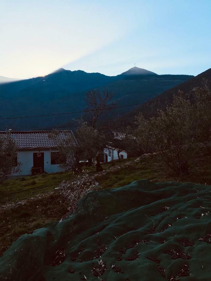 הוילה Parada  "Casa Do Avo Patricio" Mountain Experience מראה חיצוני תמונה